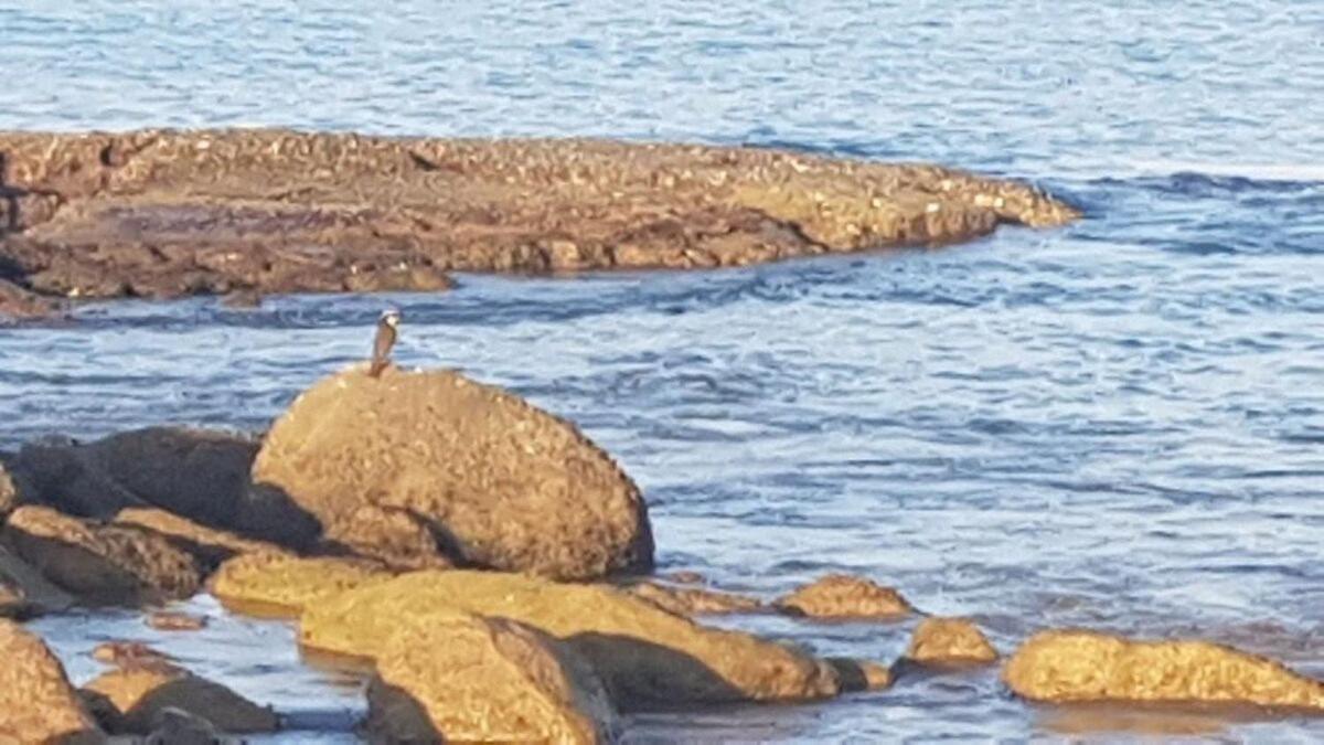 Recanto Maravista Apto Frente Mar 2 Quartos 2 Banheiros, Ar, Wi Fi, Piscina Сasa de vacaciones